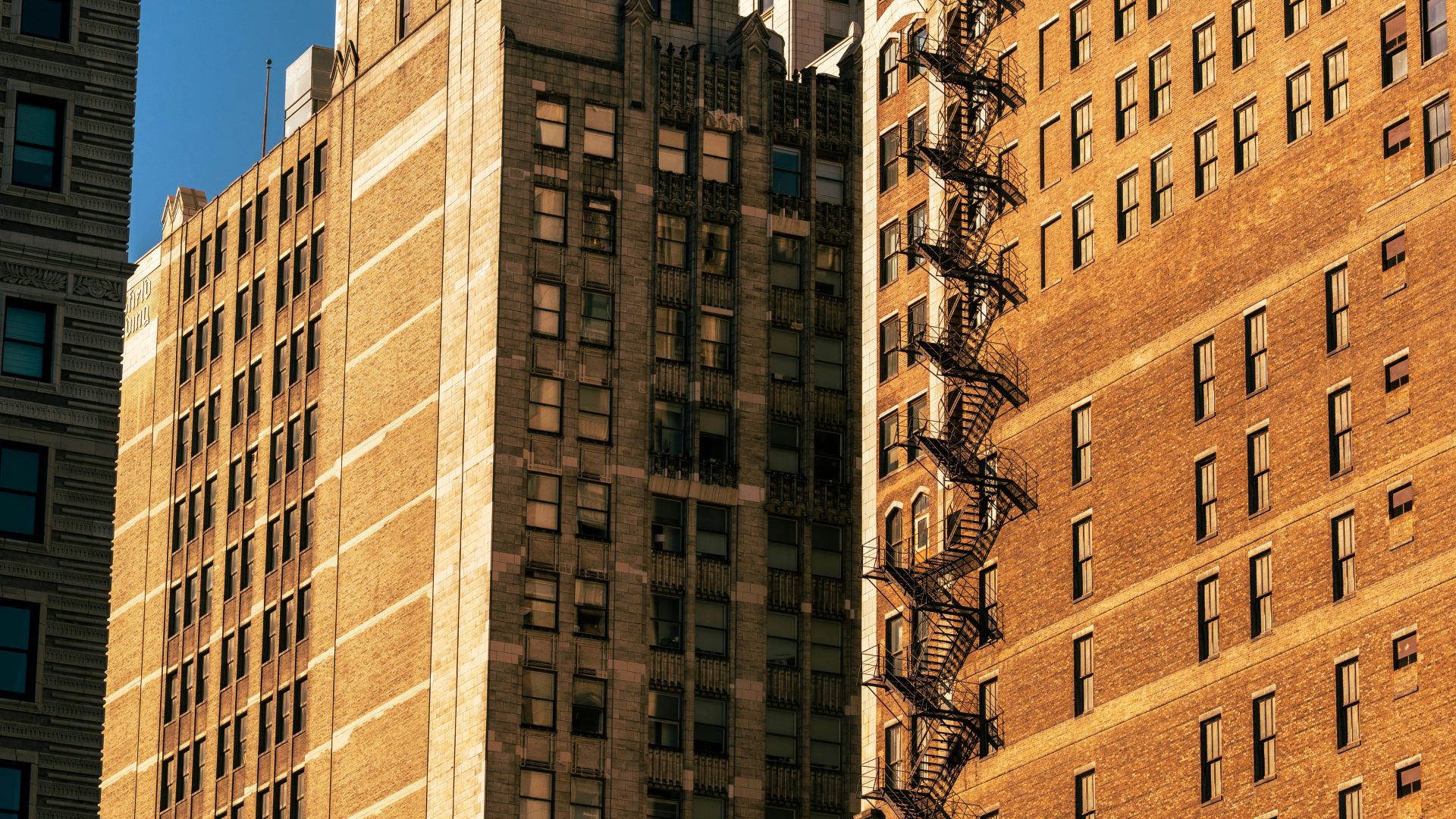 Skyscrapers bask in the warm sunlight.