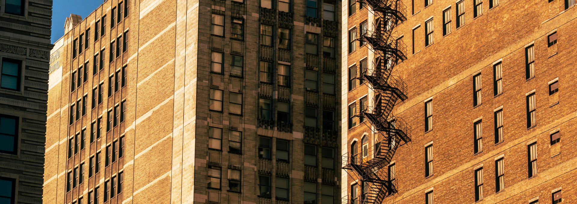 Skyscrapers bask in the warm sunlight.